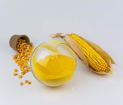Кукурузный глютен (сухой)