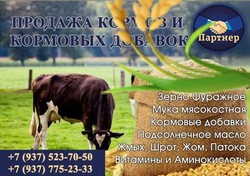 Витамины и Аминокислоты